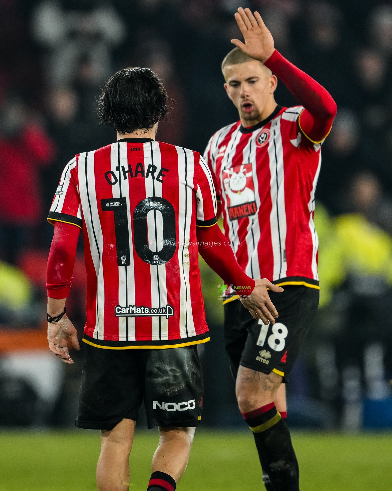 Callum O'Hare of Sheffield United celebrates with Harry Clarke after the teams victory following the Sky Bet Championship match Sheffield United vs Middlesbrough at Bramall Lane, Sheffield, United Kingdom, 12th February 2025

(Photo by Craig Thomas/News Images)