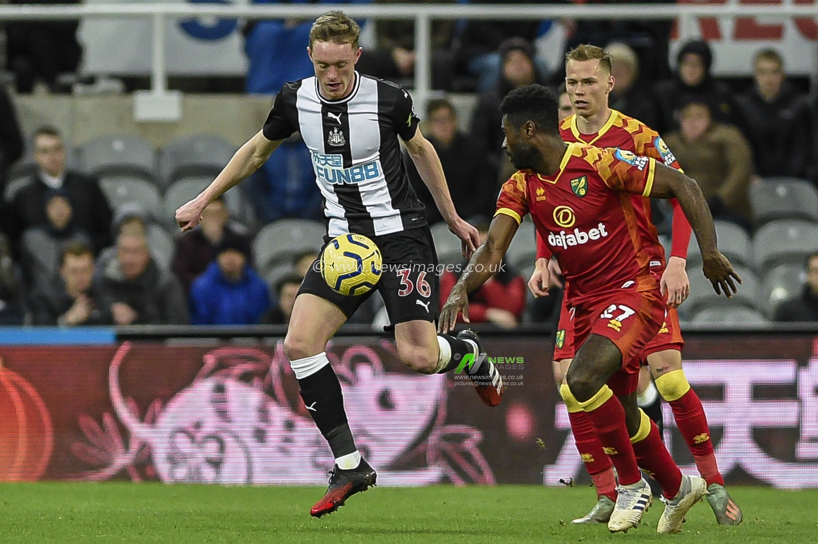 1st February 2020, St. James's Park, Newcastle, England; Premier League, Newcastle United v Norwich City : Sean Longstaff (36) of Newcastle United under pressure from Alexander Tettey (27) of Norwich City