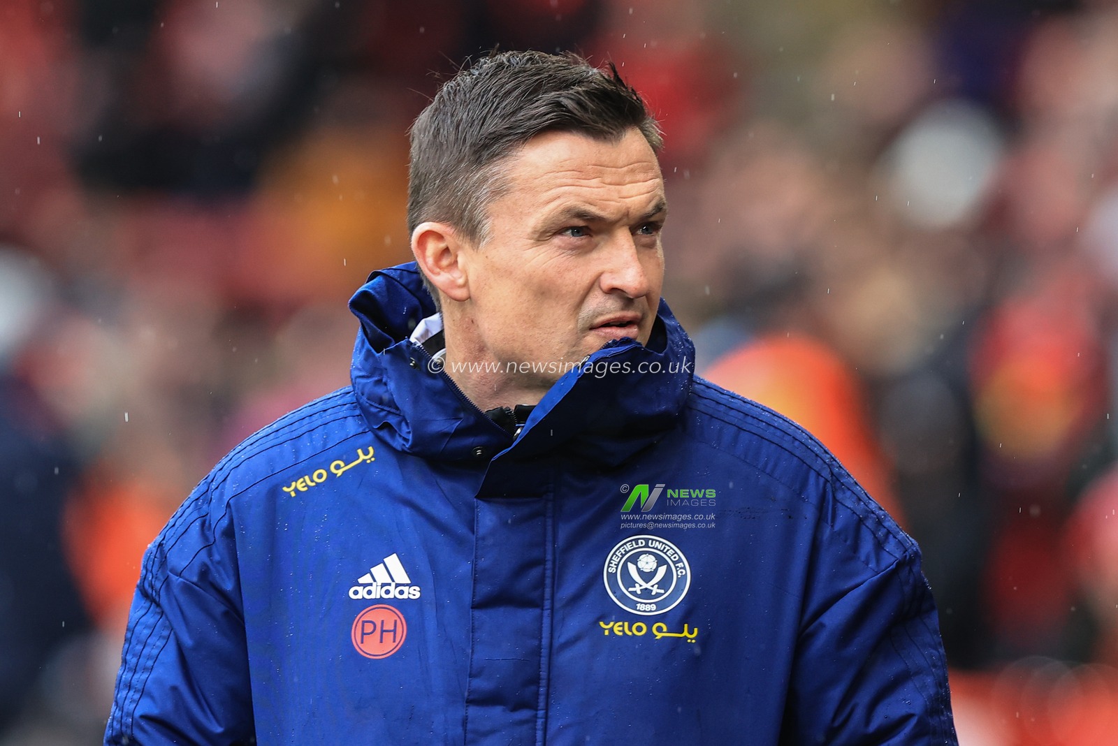 Paul Heckingbottom manager of Sheffield United during the game