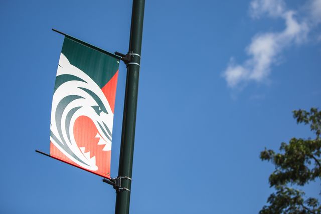 Build up to the Gallagher Premiership Play-off Final 2025 Bath Rugby v Leicester Tigers at Allianz Stadium, Twickenham, United Kingdom, 14th June 2025

(Photo by Craig Evans/News Images)