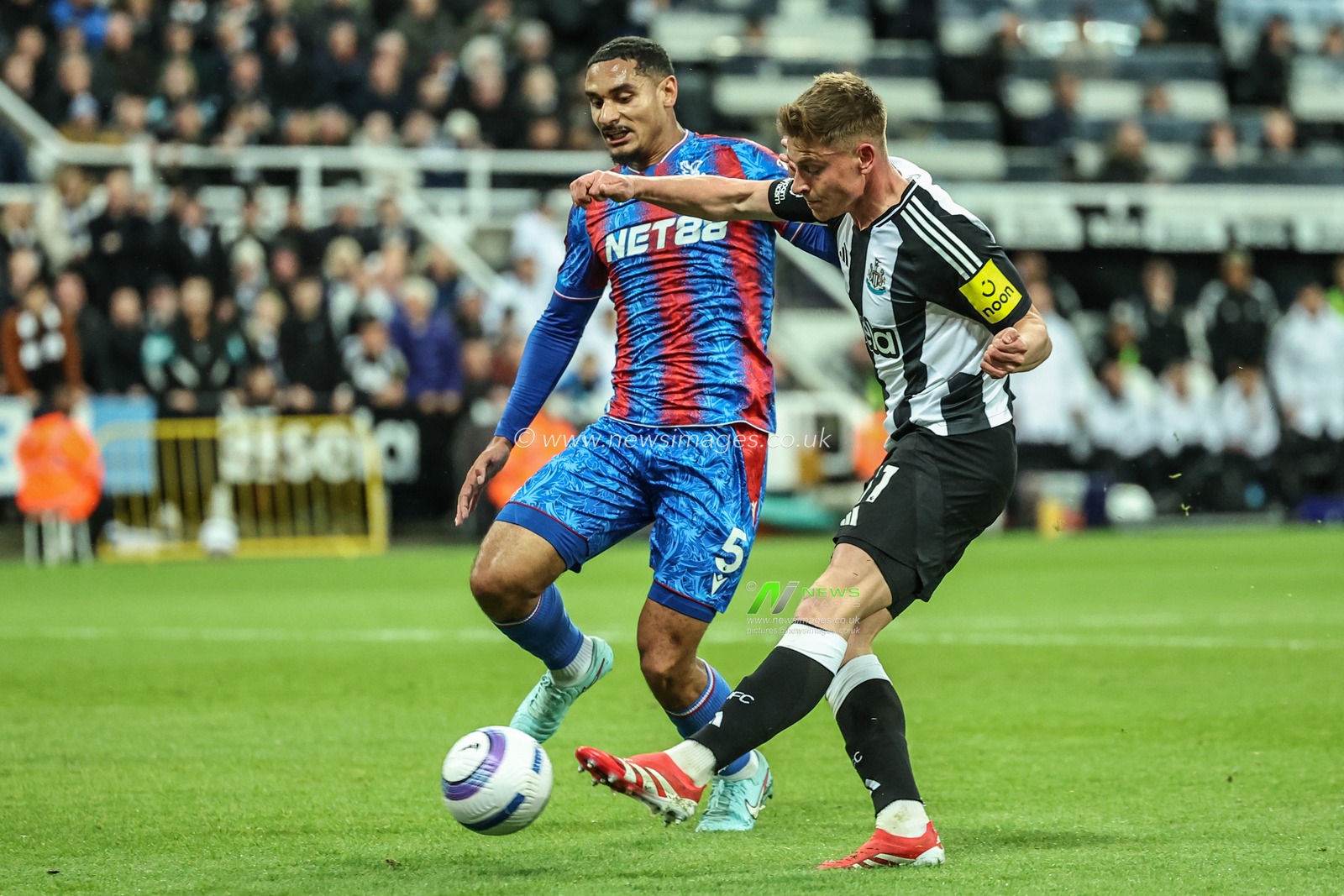 Harvey Barnes of Newcastle United scores to make it 3-0 during the Premier League match Newcastle United vs Crystal Palace at St. James's Park, Newcastle, United Kingdom, 16th April 2025

(Photo by Mark Cosgrove/News Images)