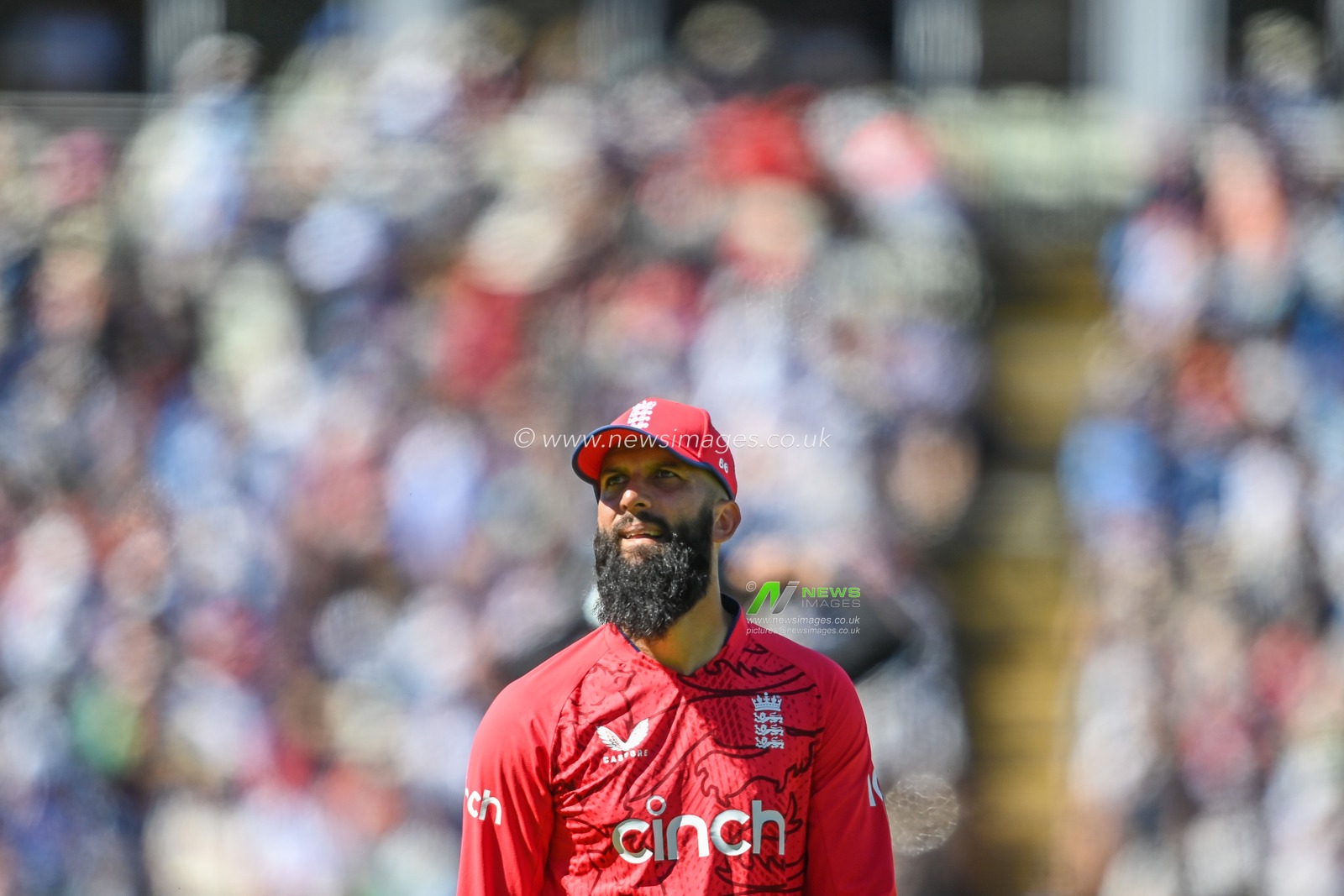 Moeen Ali of England during the game