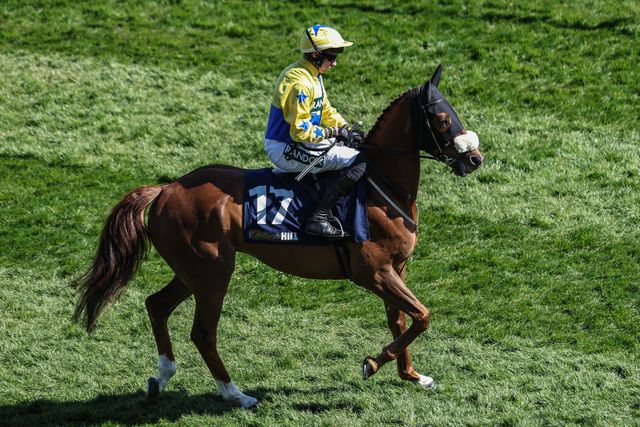 Double Powerful ridden by Conor O'Farrell during the Randox Grand National 2025 Day 3 Grand National Day at Aintree Racecourse, Liverpool, United Kingdom, 5th April 2025

(Photo by Mark Cosgrove/News Images)