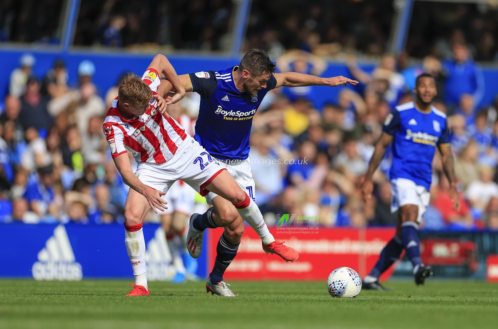 31st August 2019, St Andrew's, Birmingham, England; Sky Bet Championship Football,  Birmingham City vs Stoke City ; Lukas Jutkiewicz (10) of Birmingham City is challenged by Sam Clucas (22) of Stoke City

Credit: Conor Molloy/News Images


English Football League images are subject to DataCo Licence