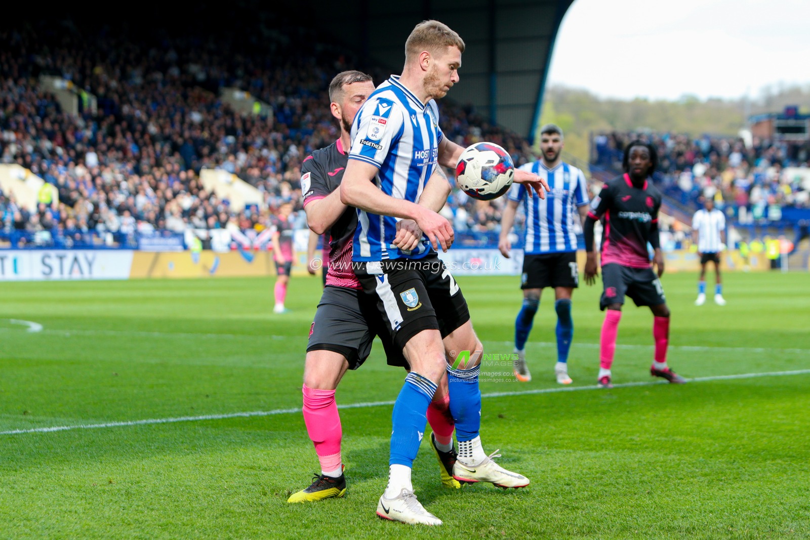 Michael Smith #24 of Sheffield Wednesday and Pierce Sweeney #26 of Exeter City during the Sky Bet League 1 match Sheffield Wednesday vs Exeter City at Hillsborough, Sheffield, United Kingdom, 22nd April 2023

(Photo by Ben Early/News Images)