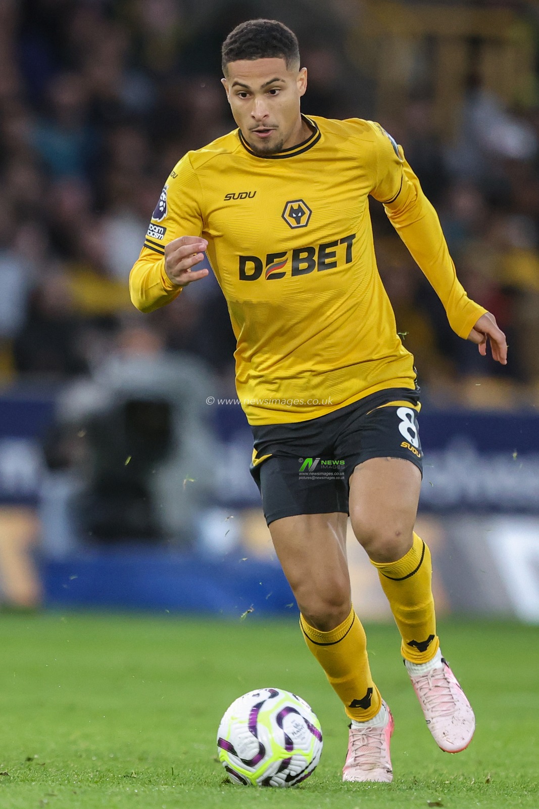 JoÃ£o Gomes of Wolverhampton Wanderers during the Premier League match Wolverhampton Wanderers vs Liverpool at Molineux, Wolverhampton, United Kingdom, 28th September 2024

(Photo by Alfie Cosgrove/News Images)