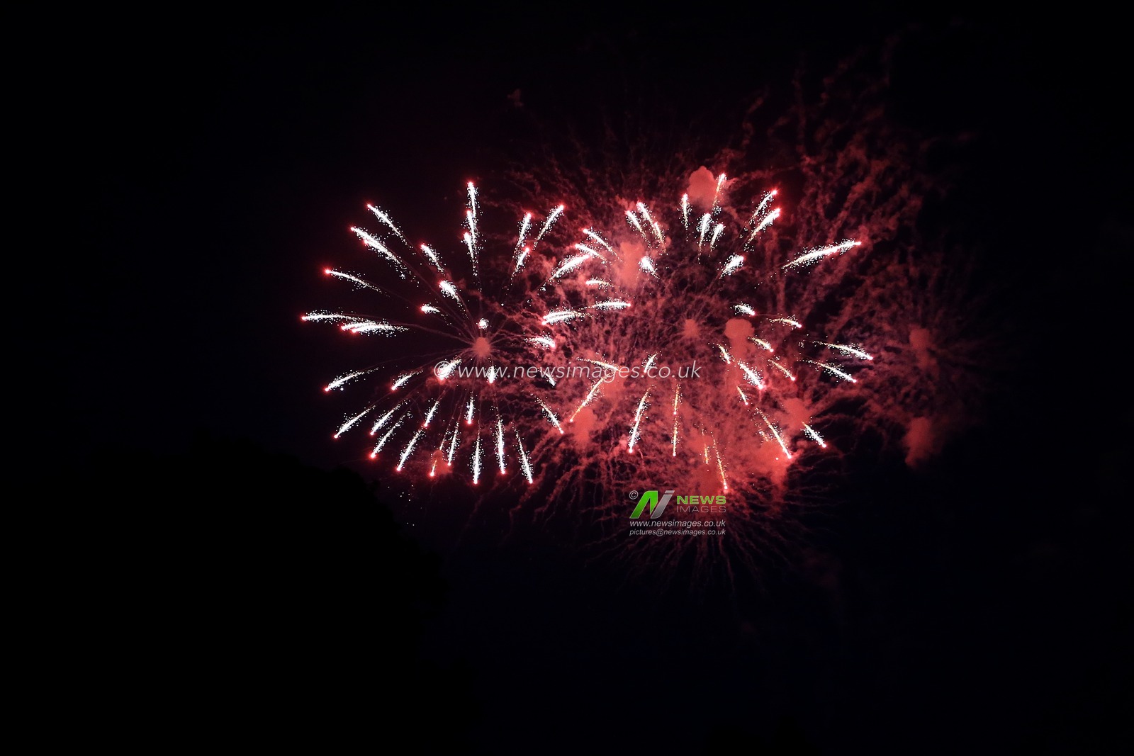 A firework display signifies the start of the Illuminated Parade part of the fete.