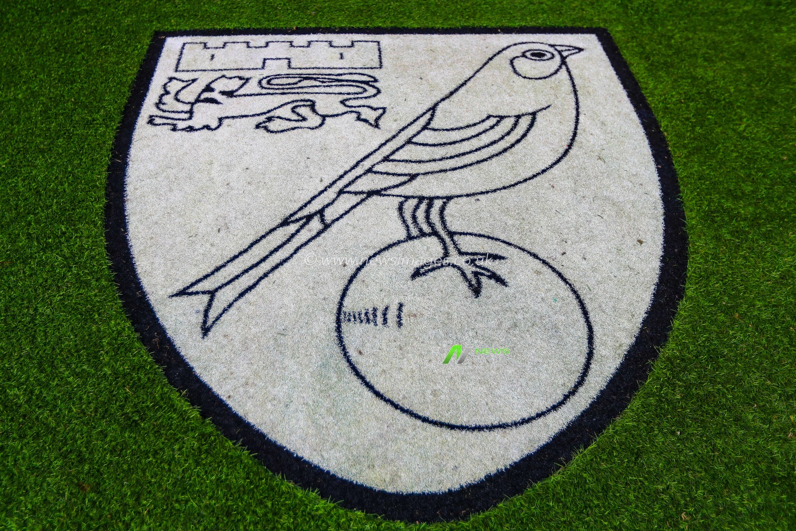 29th December 2018, Carrow Road, Norfolk, England; Sky Bet Championship, Norwich City vs Derby County ;  The Norwich emblem etched on the turf at Carrow Road.

Credit: Georgie Kerr/News Images

English Football League images are subject to DataCo Licence