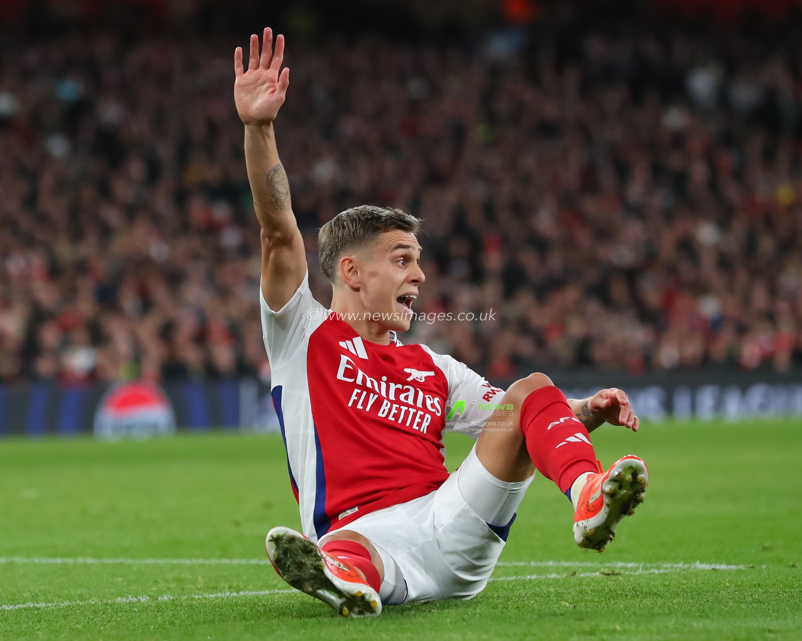 Leandro Trossard of Arsenal appeals during the UEFA Champions League, League Stage Arsenal vs FC Shakhtar Donetsk at Emirates Stadium, London, United Kingdom, 22nd October 2024

(Photo by Izzy Poles/News Images)