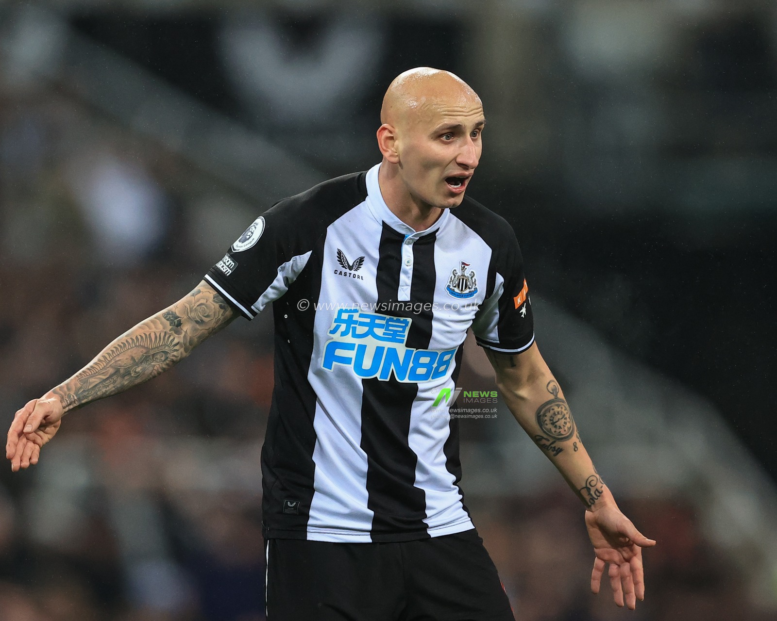 Jonjo Shelvey #8 of Newcastle United during the game