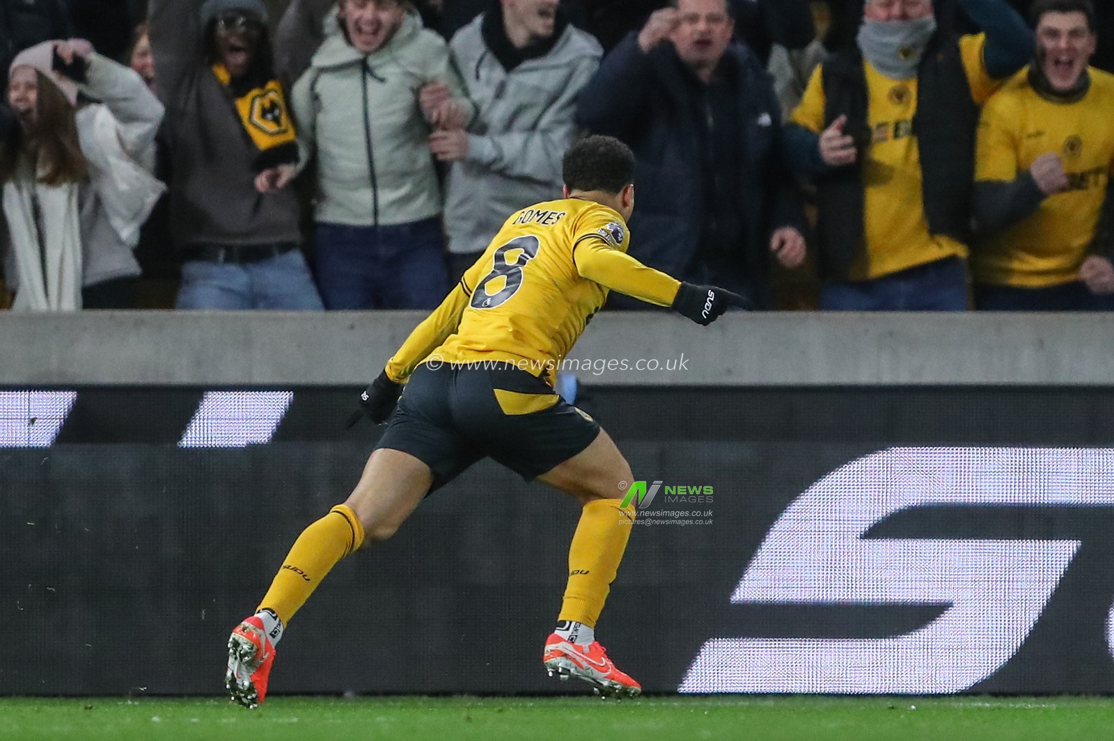 JoÃ£o Gomes of Wolverhampton Wanderers celebrates his goal to make it 1-1 during the Premier League match Wolverhampton Wanderers vs Fulham at Molineux, Wolverhampton, United Kingdom, 25th February 2025

(Photo by Gareth Evans/News Images)
