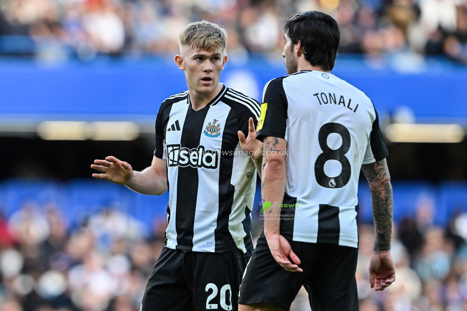 Lewis Hall of Newcastle United talks to Sandro Tonali of Newcastle United during the Premier League match Chelsea vs Newcastle United at Stamford Bridge, London, United Kingdom, 27th October 2024

(Photo by Cody Froggatt/News Images)