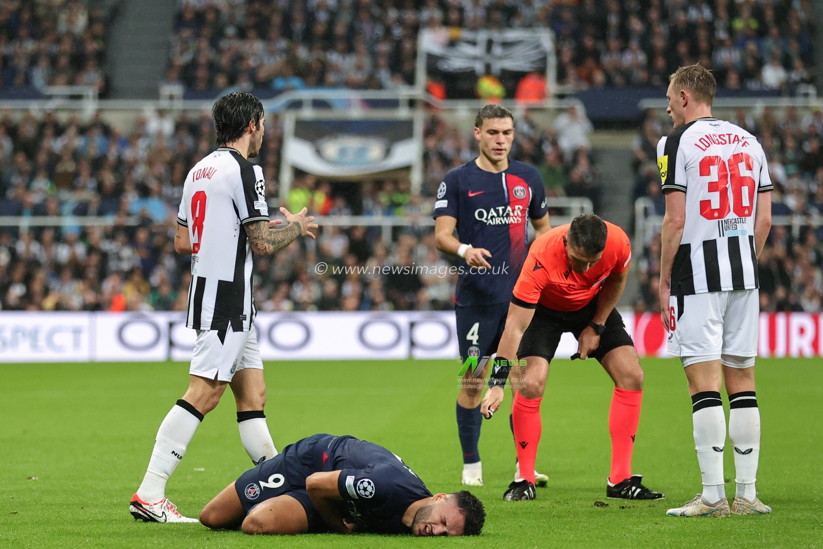 Sandro Tonali #8 of Newcastle United pleads his innocence to referee Istvan Kovacs during the UEFA Champions League match Newcastle United vs Paris Saint-Germain at St. James's Park, Newcastle, United Kingdom, 4th October 2023

(Photo by Mark Cosgrove/News Images)