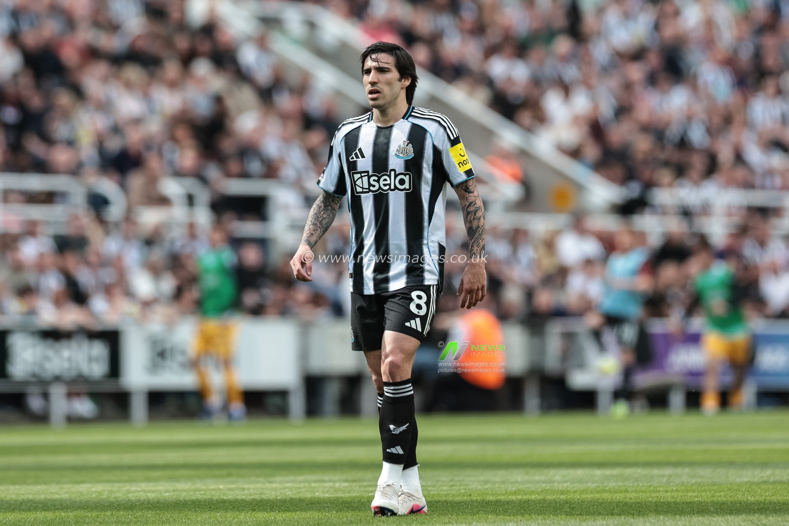 Sandro Tonali of Newcastle United during the Premier League match Newcastle Untied vs Brighton & Hove Albion at St. James's Park, Newcastle, United Kingdom on 02 May 2026

(Photo by Mark Cosgrove/News Images)