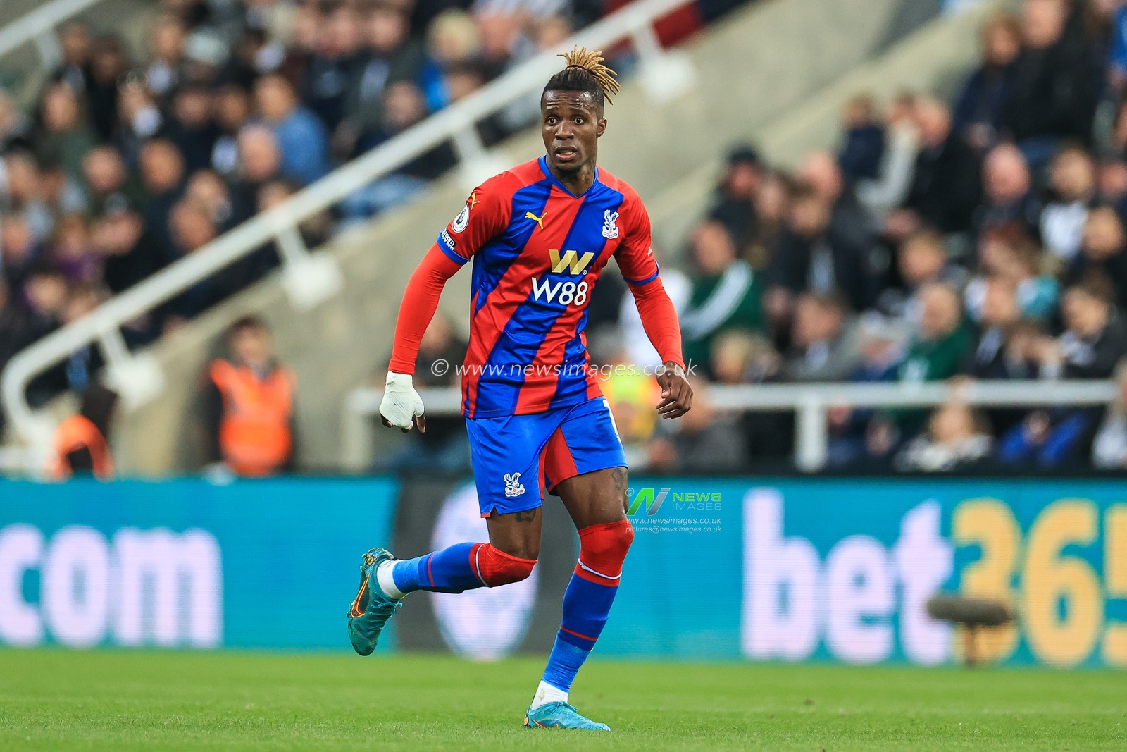Wilfried Zaha #11 of Crystal Palace during the game