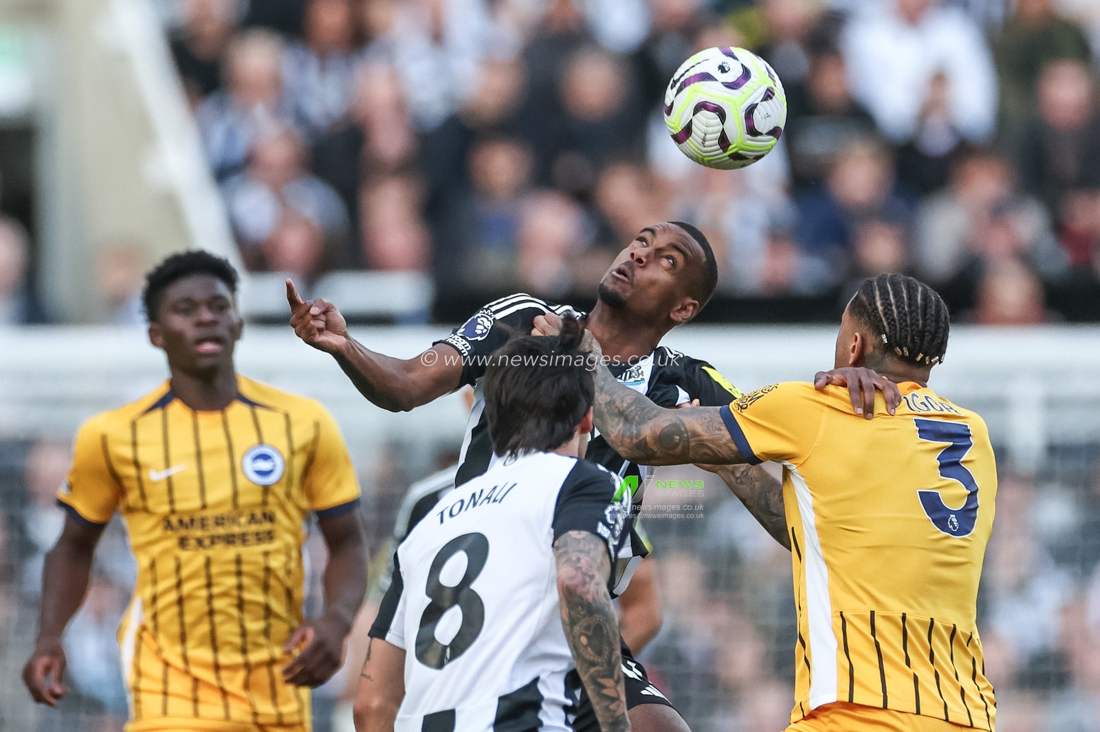 Alexander Isak of Newcastle United jumps up to win the high ball from Igor of Brighton & Hove Albion during the Premier League match Newcastle United vs Brighton and Hove Albion at St. James's Park, Newcastle, United Kingdom, 19th October 2024

(Photo by Mark Cosgrove/News Images)