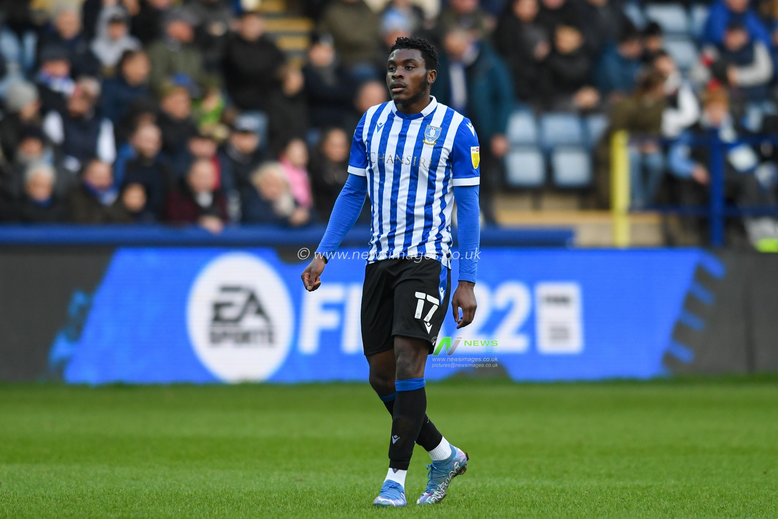 Fisayo Dele-Bashiru #17 of Sheffield Wednesday in action during the game