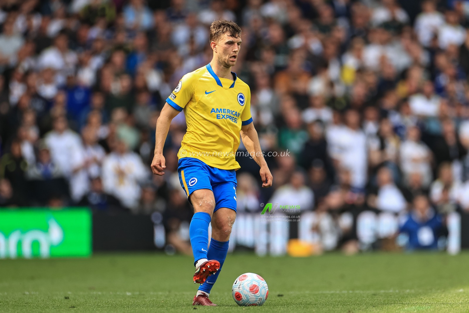 JoÃ«l Veltman #34 of Brighton & Hove Albion in action during the game