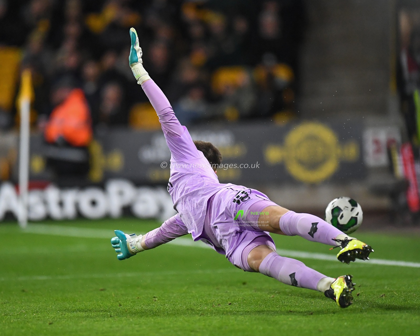 Matija Å arki? #13 of Wolverhampton Wanderers makes a save during the Carabao Cup match Wolverhampton Wanderers vs Leeds United at Molineux, Wolverhampton, United Kingdom, 9th November 2022

(Photo by Mike Jones/News Images)