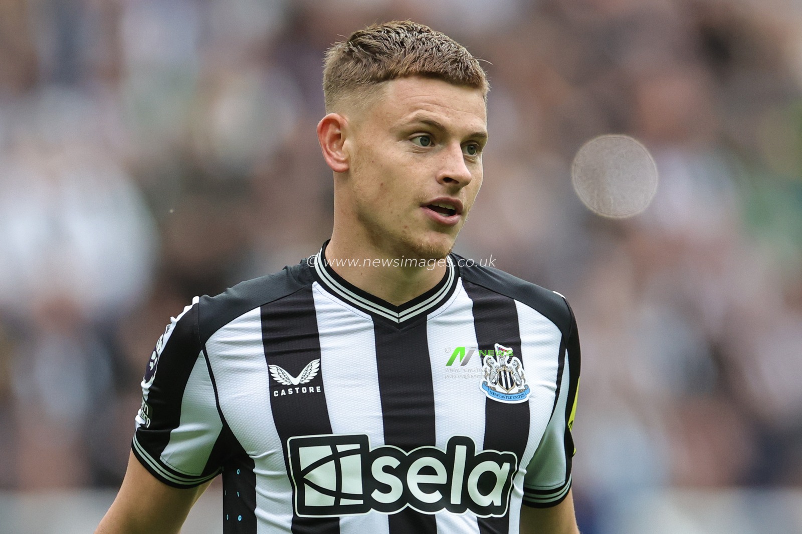 Harvey Barnes #15 of Newcastle United during the Premier League match Newcastle United vs Liverpool at St. James's Park, Newcastle, United Kingdom, 27th August 2023

(Photo by Mark Cosgrove/News Images)