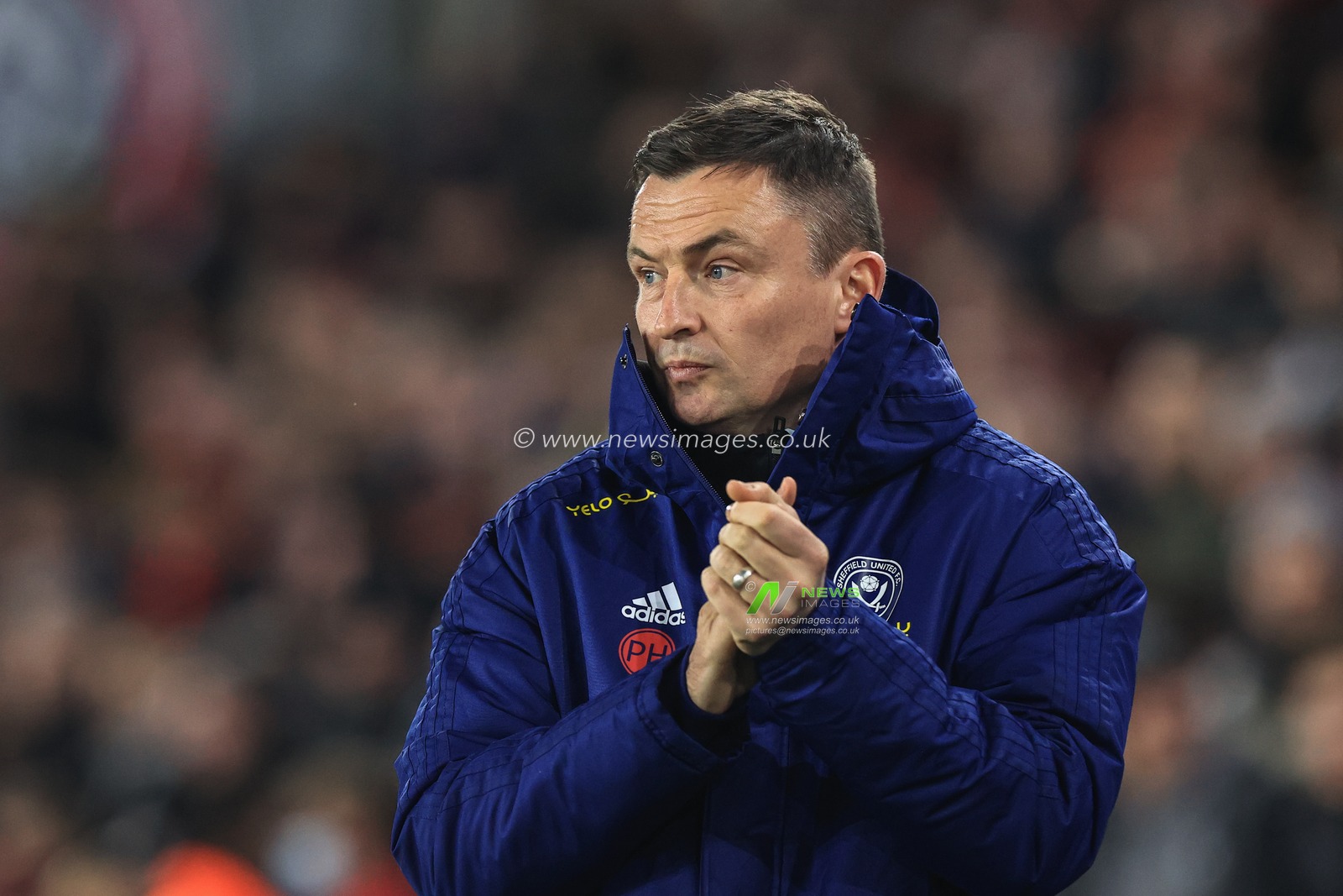 Paul Heckingbottom manager of Sheffield United during the game