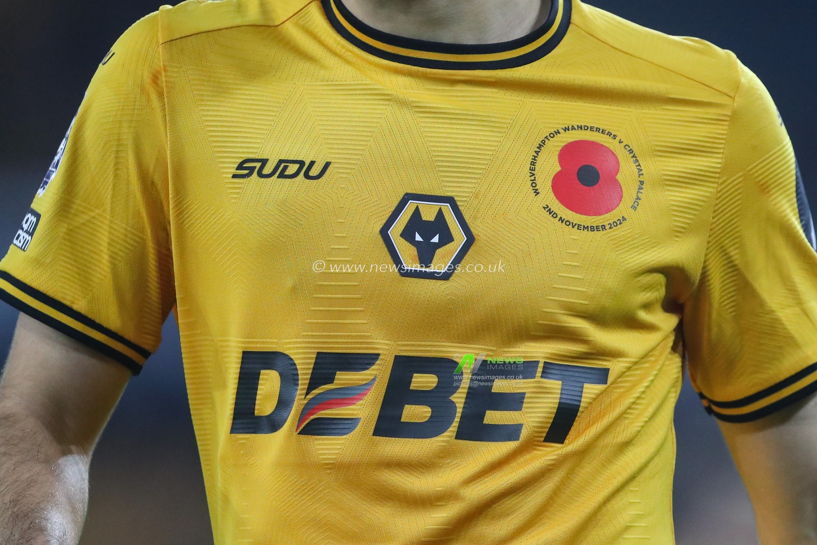 The Remembrance Poppy on the home shirt of Wolverhampton Wanderers during the Premier League match Wolverhampton Wanderers vs Crystal Palace at Molineux, Wolverhampton, United Kingdom, 2nd November 2024

(Photo by Gareth Evans/News Images)