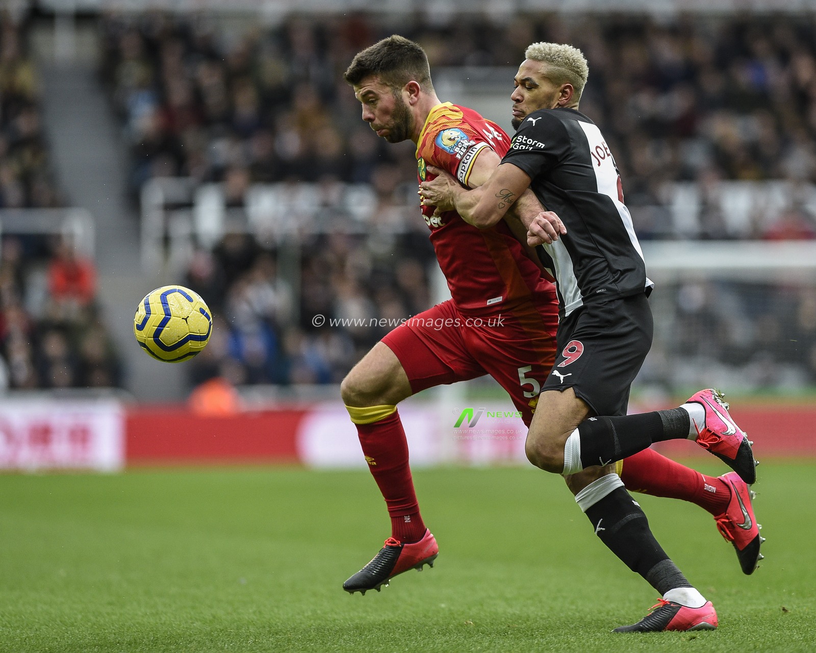 1st February 2020, St. James's Park, Newcastle, England; Premier League, Newcastle United v Norwich City : Grant Hanley (5) of Norwich City holds off Joelinton (9) of Newcastle United