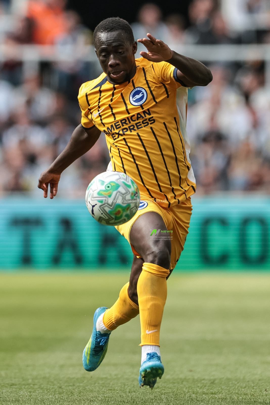 Yankuba Minteh of Brighton & Hove Albion breaks with the ball during the Premier League match Newcastle Untied vs Brighton & Hove Albion at St. James's Park, Newcastle, United Kingdom on 02 May 2026

(Photo by Mark Cosgrove/News Images)