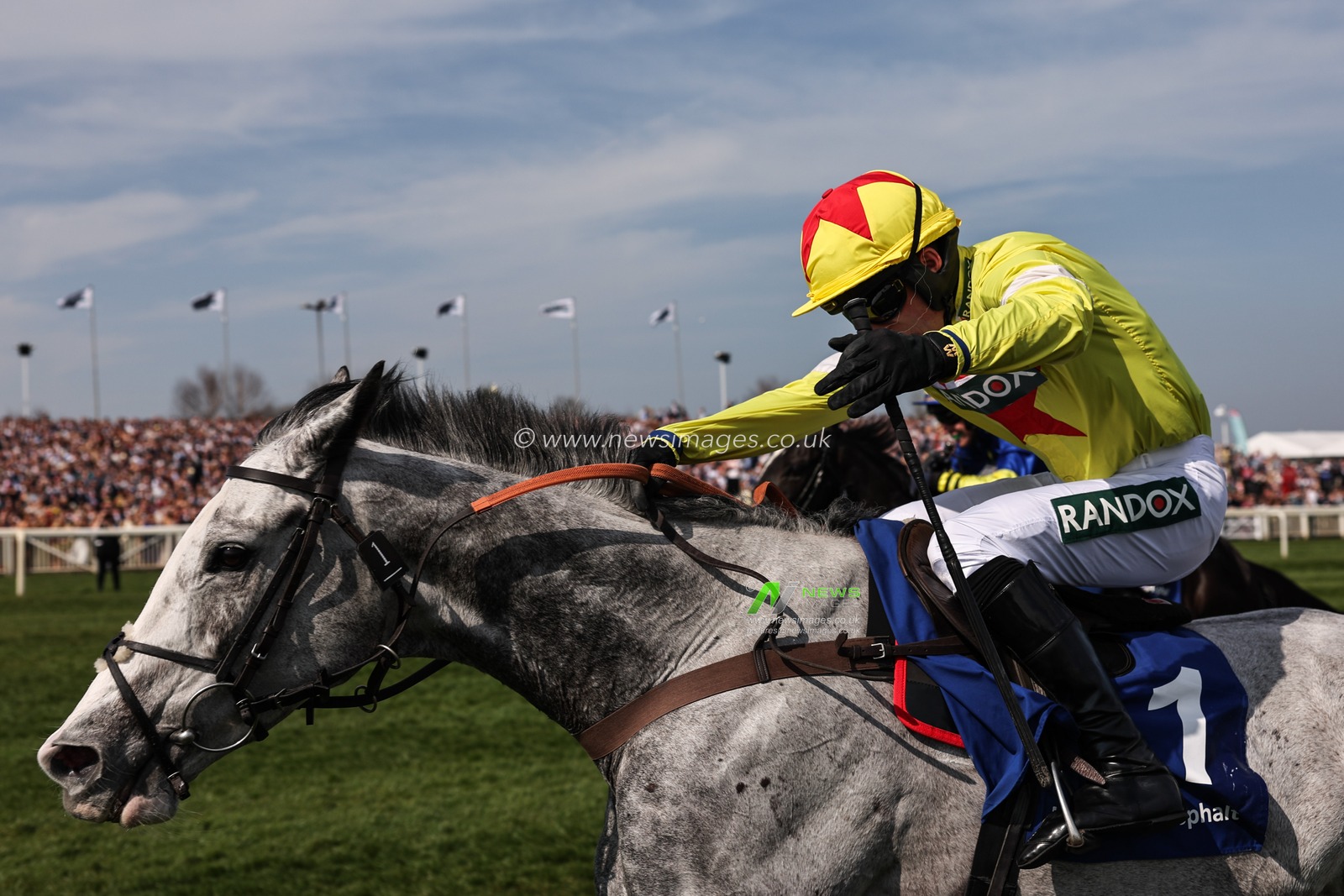 Caldwell Potter ridden by Harry Cobden leads in the Huyton Asphalt Franny Blennerhassett Memorial Mildmay Novices' Chase during the Randox Grand National 2025 Day 2 Ladies Day at Aintree Racecourse, Liverpool, United Kingdom, 4th April 2025

(Photo by Mark Cosgrove/News Images)