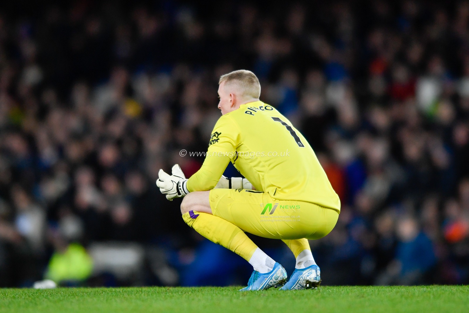 11th January 2020, Goodison Park, Liverpool, England; Premier League, Everton v Brighton and Hove Albion : Jordan Pickford (1) of Everton crouches on the pitch

Credit: Simon Whitehead/News Images