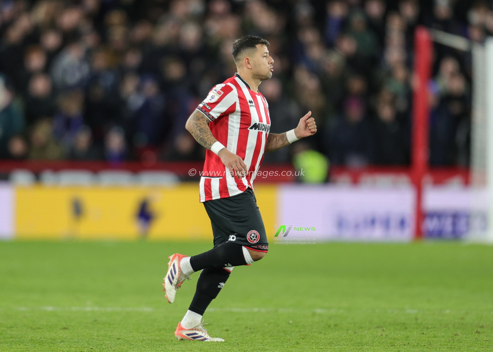 Gustavo Hamer of Sheffield United is subbed on during the Sky Bet Championship match Sheffield United vs Leicester City at Bramall Lane, Sheffield, United Kingdom, 1st January 2026

(Photo by Richard Bierton/News Images)

*** GER AUT SUI OUT ***