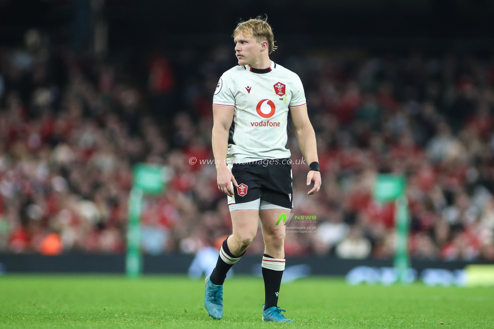 Blair Murray of Wales during the Quilter Nations Series 2025 match Wales vs Japan at Principality Stadium, Cardiff, United Kingdom, 15th November 2025

(Photo by Andrew Lewis/News Images)

*** GER AUT SUI OUT ***