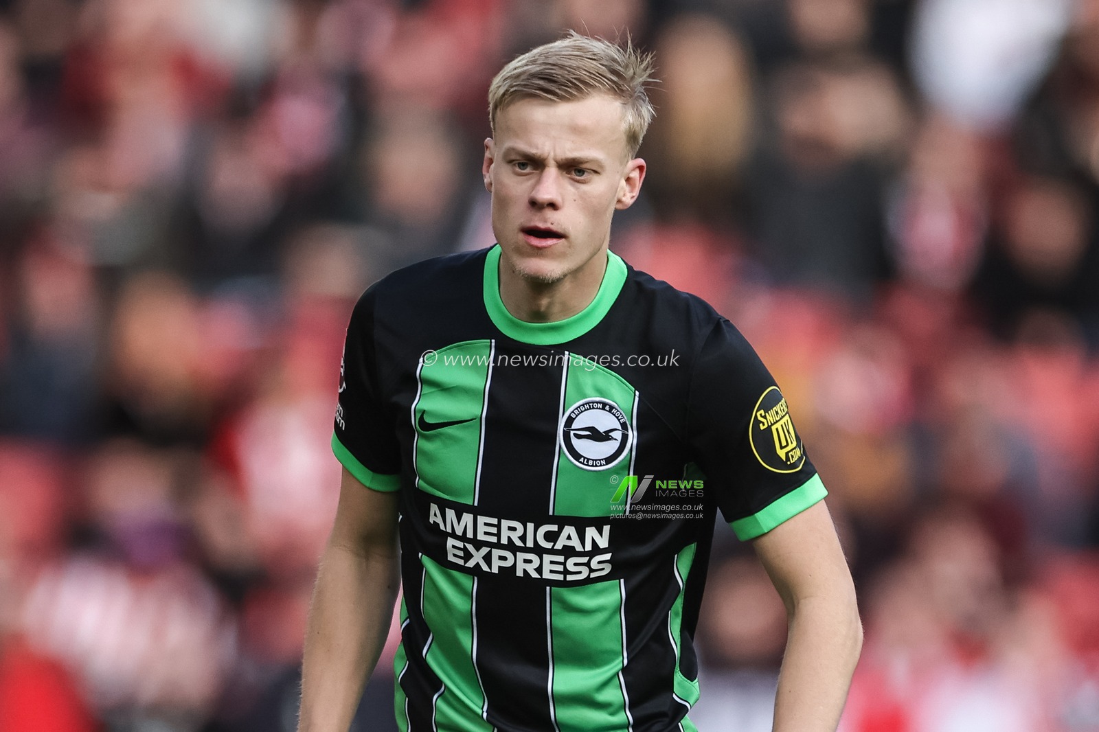 Jan Paul van Hecke of Brighton & Hove Albion during the Premier League match Sheffield United vs Brighton and Hove Albion at Bramall Lane, Sheffield, United Kingdom, 18th February 2024

(Photo by Mark Cosgrove/News Images)
