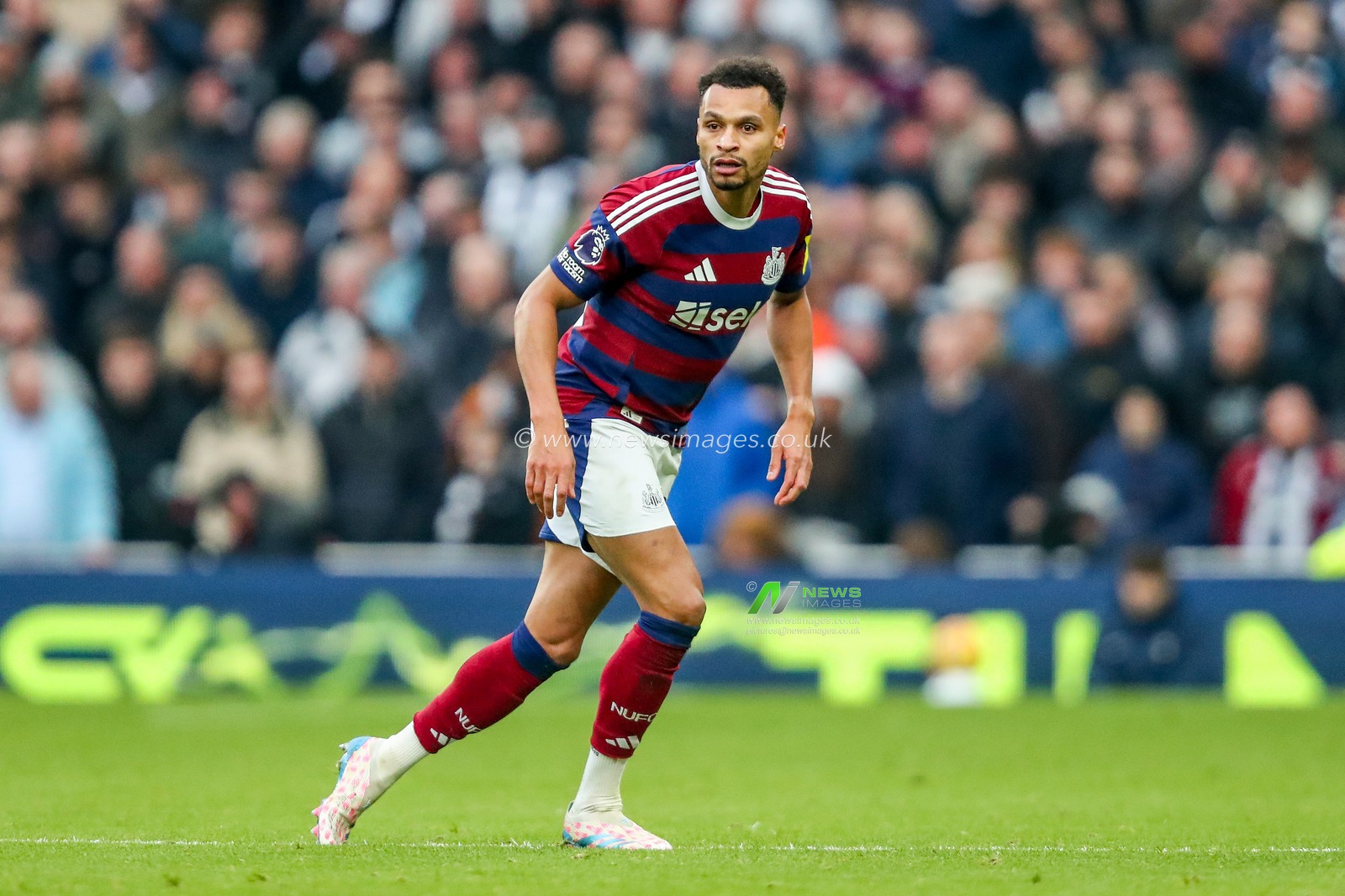Jacob Murphy of Newcastle United in action during the Premier League match Tottenham Hotspur vs Newcastle United at Tottenham Hotspur Stadium, London, United Kingdom, 4th January 2025

(Photo by Izzy Poles/News Images)