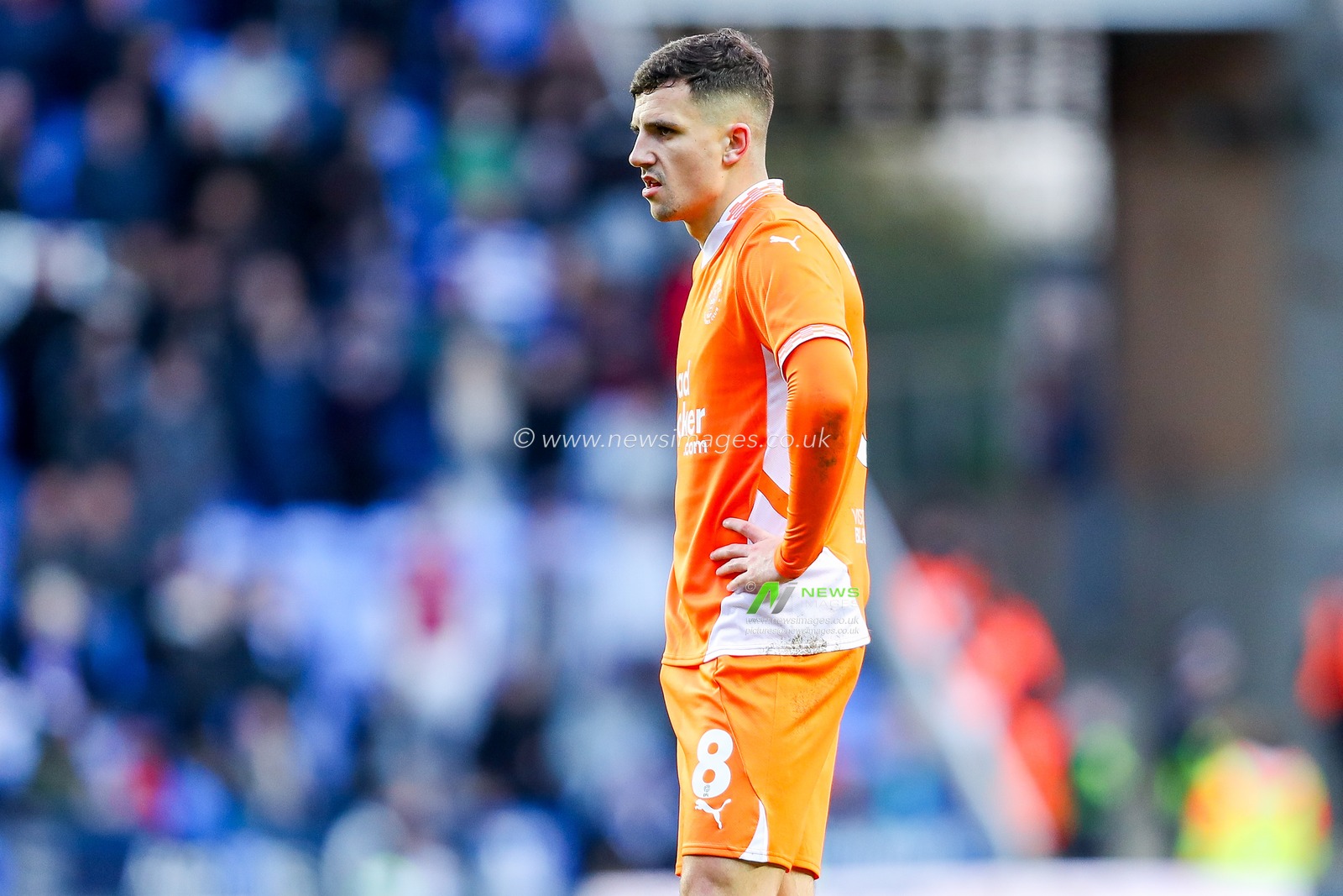 Albie Morgan of Blackpool looks on during the Sky Bet League 1 match Reading vs Blackpool at Select Car Leasing Stadium, Reading, United Kingdom, 14th December 2024

(Photo by Izzy Poles/News Images)