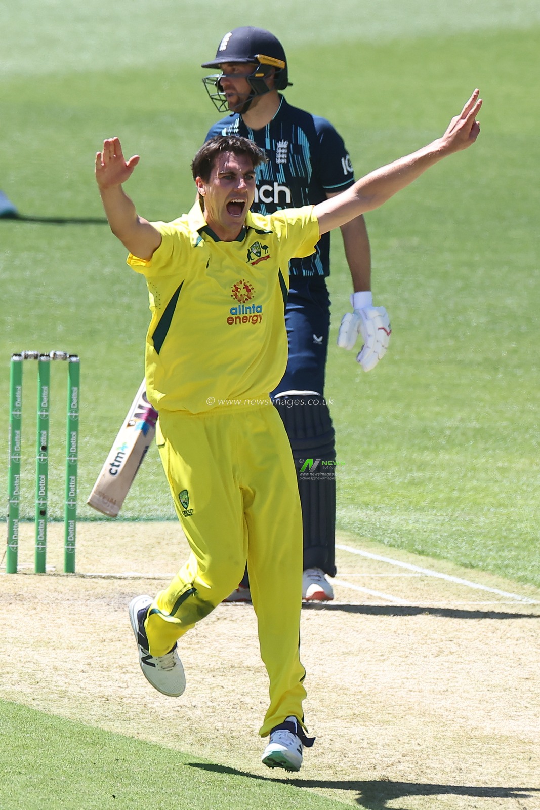 Pat Cummins of Australia  appeals during the Dettol ODI Series match Australia vs England at Adelaide Oval, Adelaide, Australia, 17th November 2022

(Photo by Patrick Hoelscher/News Images)