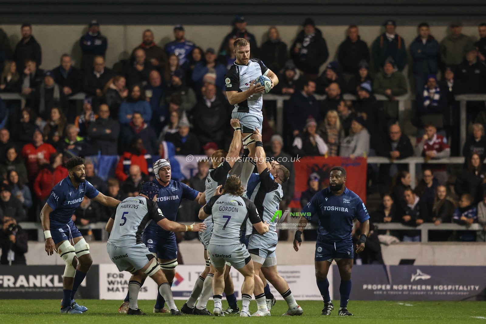 Callum Chick of Newcastle Falcons jumps up for the ball during the Gallagher Premiership match Sale Sharks vs Newcastle Falcons at Salford Community Stadium, Eccles, United Kingdom, 11th October 2024

(Photo by Alfie Cosgrove/News Images)