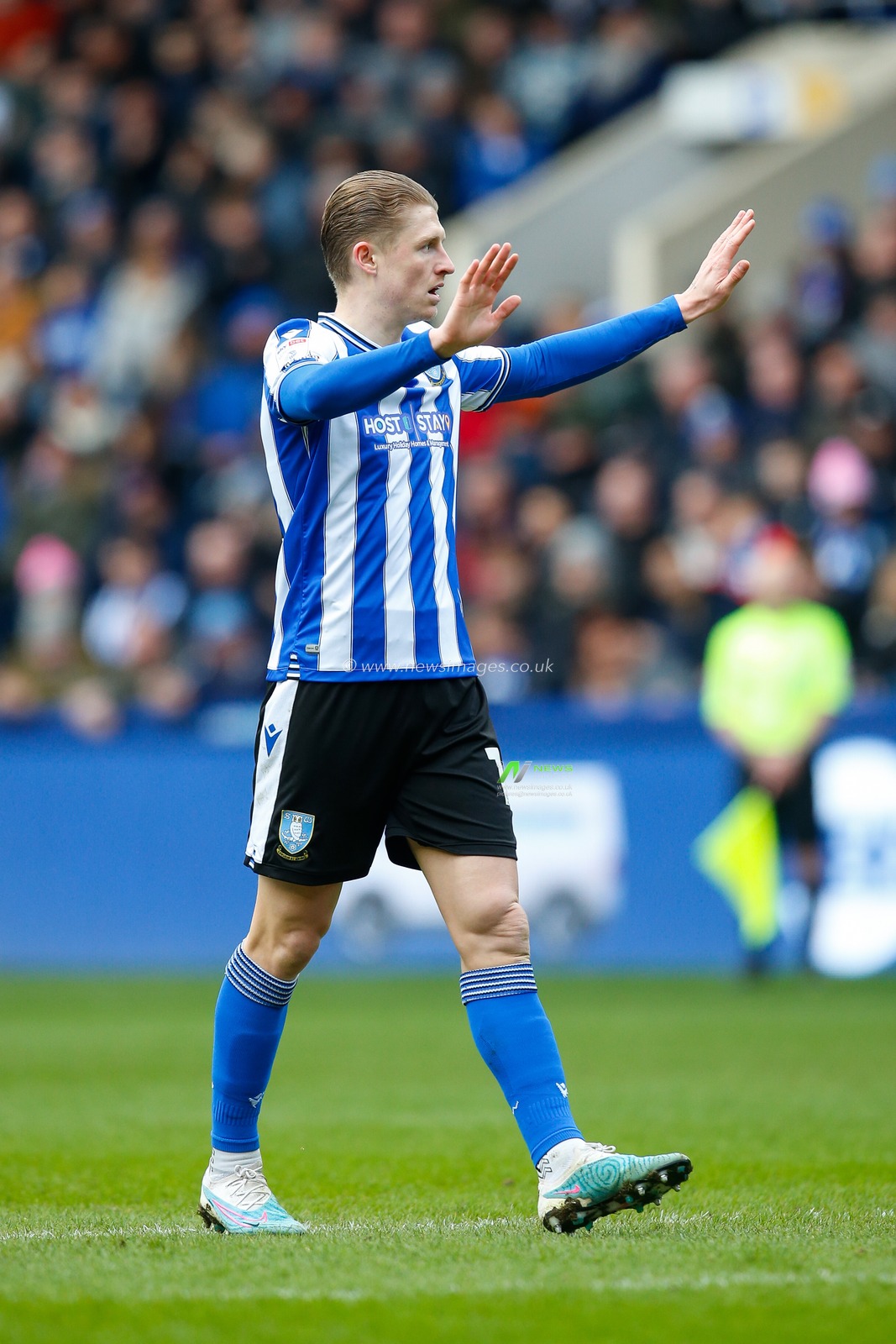 George Byers #14 of Sheffield Wednesday during the Sky Bet League 1 match Sheffield Wednesday vs Peterborough at Hillsborough, Sheffield, United Kingdom, 4th March 2023

(Photo by Ben Early/News Images)