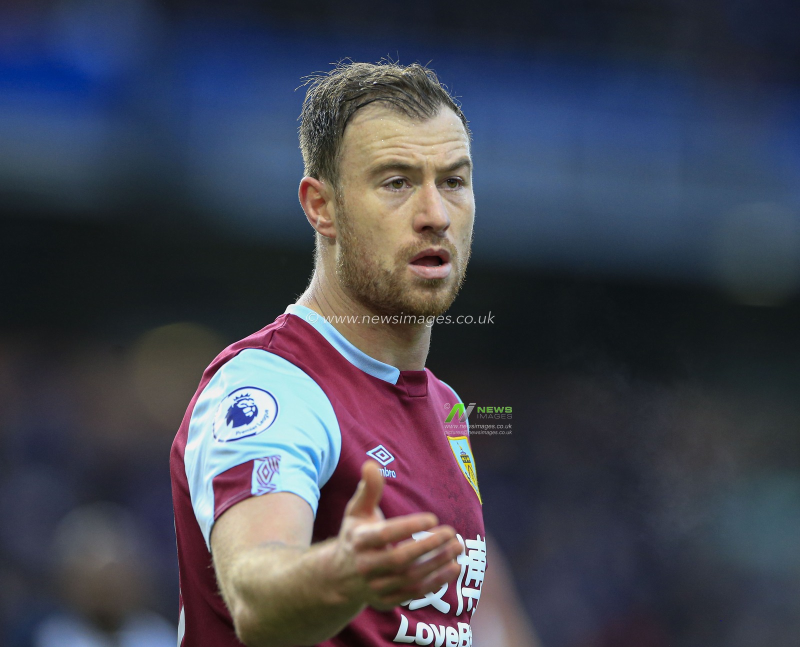 14th December 2019, Turf Moor, Burnley, England; Premier League, Burnley v Newcastle United : Ashley Barnes (10) of Burnley appeals for a hand ball

Credit: Conor Molloy/News Images