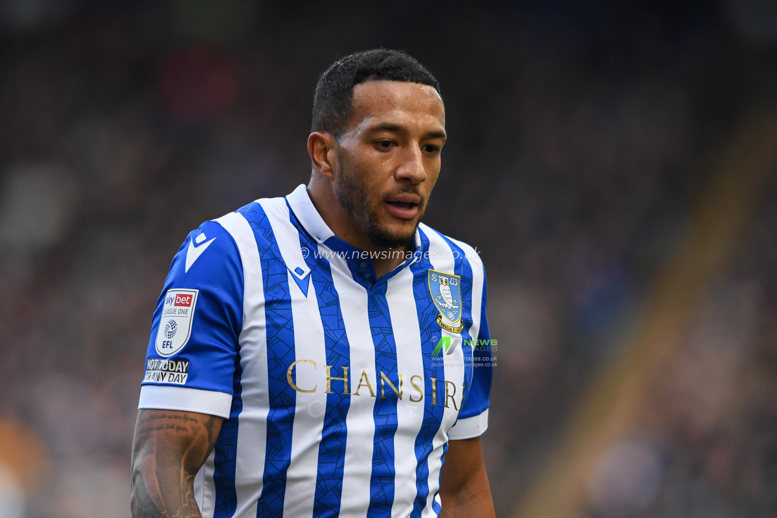 Nathaniel Mendez-Laing #41 of Sheffield Wednesday in action during the game