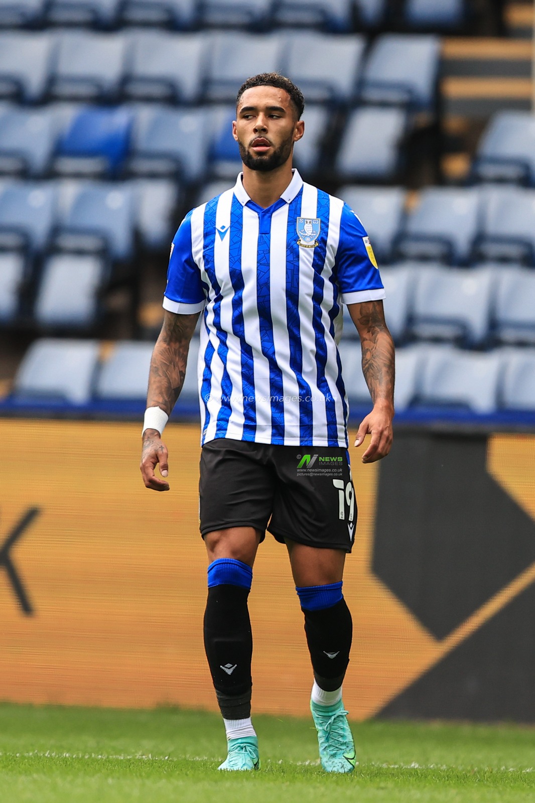 Andre Green #19 of Sheffield Wednesday during the game