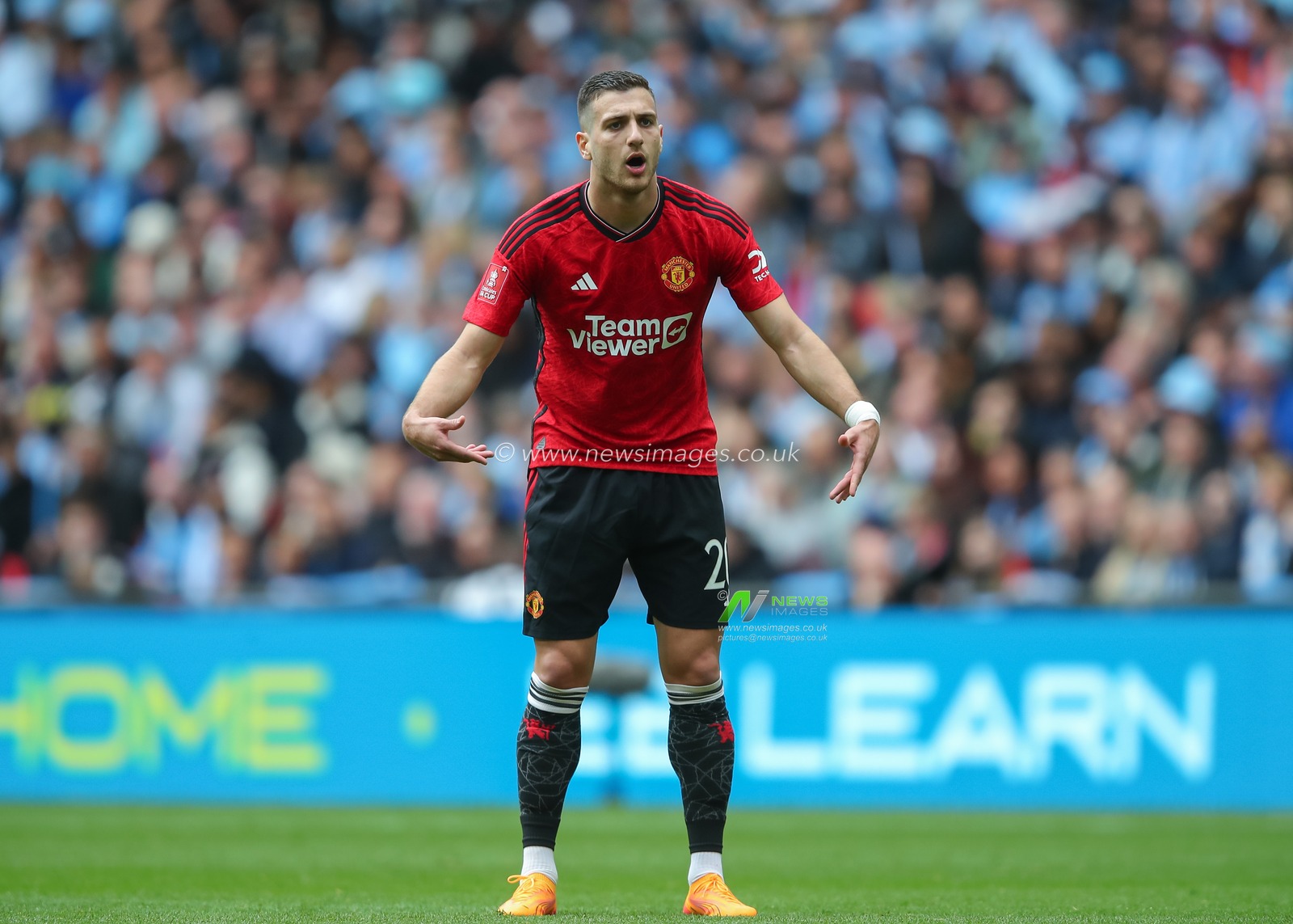 Diogo Dalot of Manchester United encourages, during the Emirates FA Cup Semi-Final match Coventry City vs Manchester United at Wembley Stadium, London, United Kingdom, 21st April 2024

(Photo by Gareth Evans/News Images)