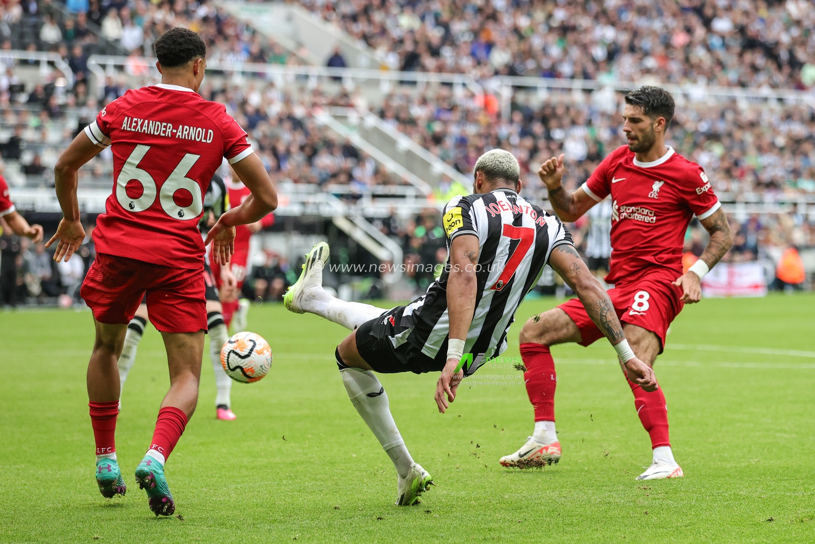 Joelinton #7 of Newcastle United shoots on goal during the Premier League match Newcastle United vs Liverpool at St. James's Park, Newcastle, United Kingdom, 27th August 2023

(Photo by Mark Cosgrove/News Images)