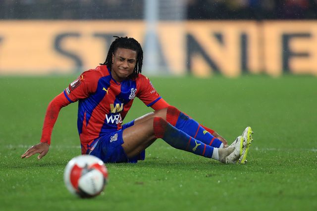 Emirates FA Cup Fifth Round Crystal Palace v Stoke City