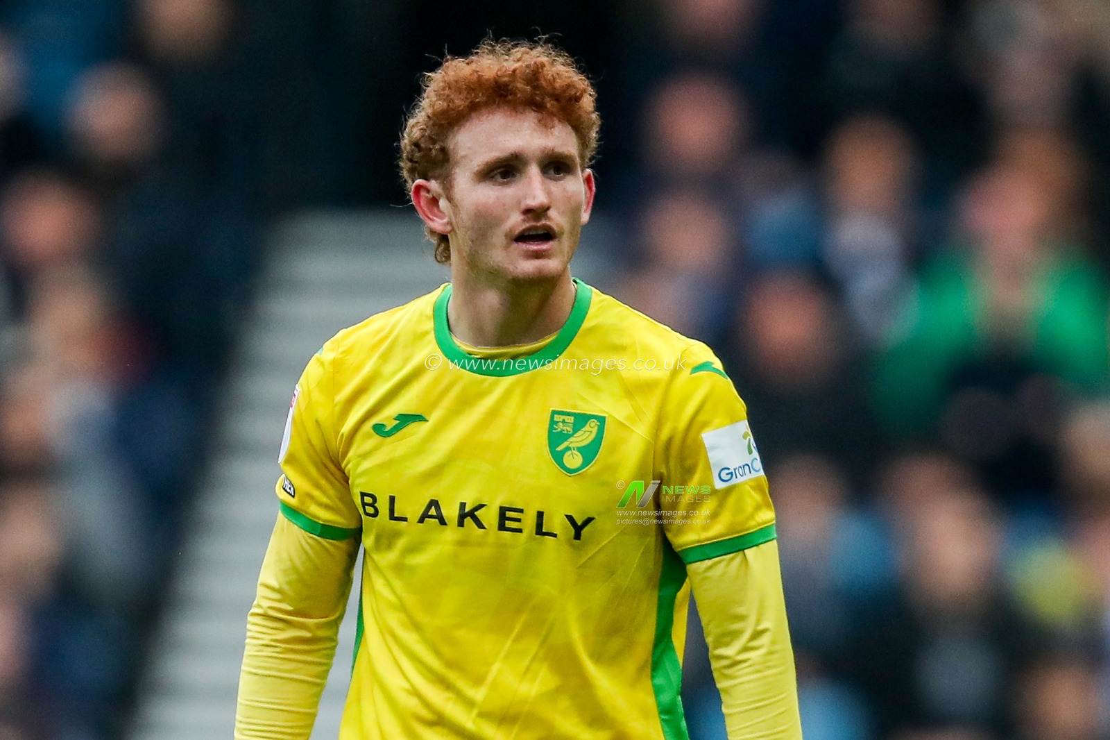 Josh Sargent of Norwich City looks on during the Sky Bet Championship match Millwall vs Norwich City at The Den, London, United Kingdom, 21st April 2025

(Photo by Izzy Poles/News Images)