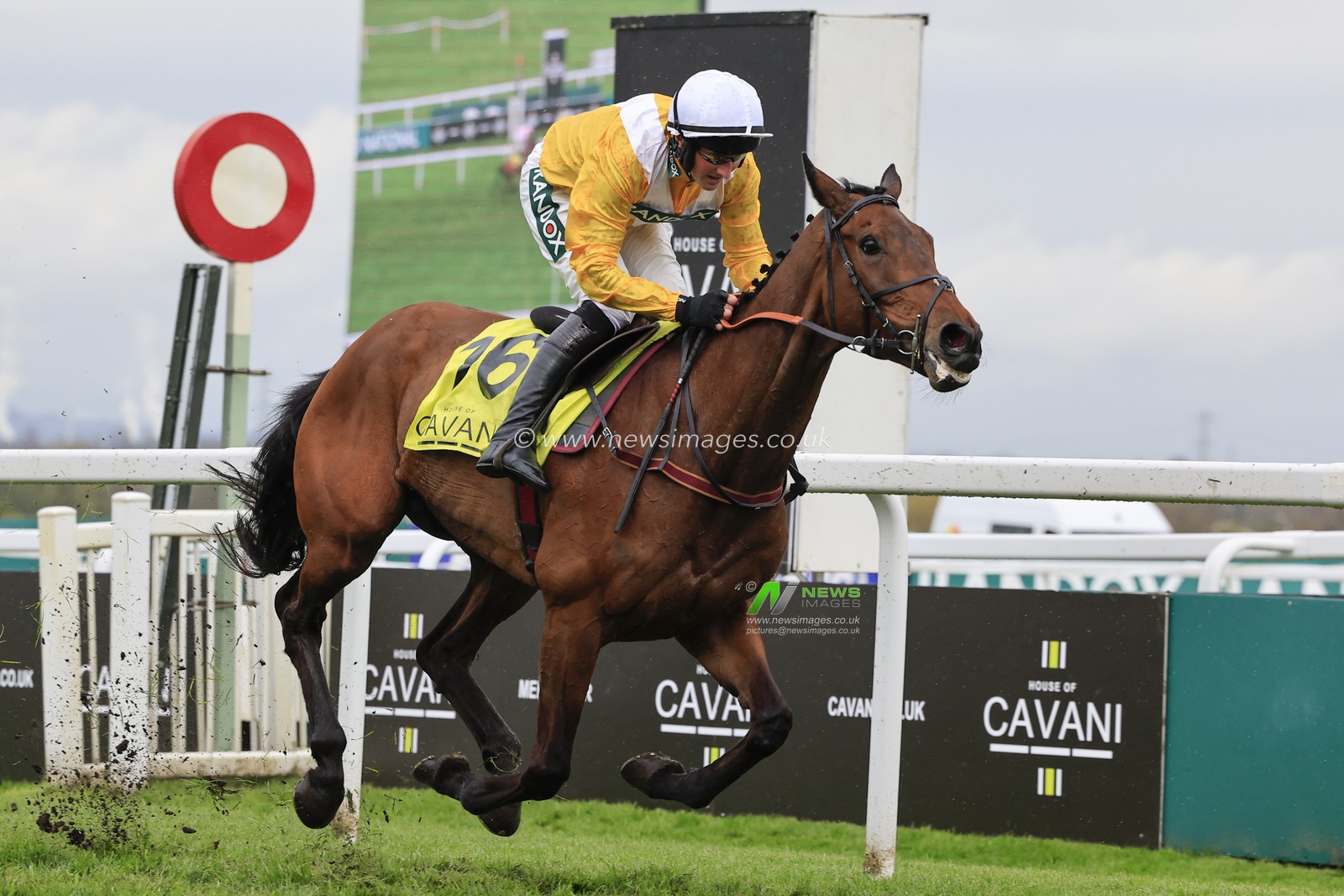 Apple Away ridden by Stephen Mulqueen wins The Sefton Novices Hurdle at the Randox Grand National festival 2023 Ladies Day at Aintree Racecourse, Liverpool, United Kingdom, 14th April 2023

(Photo by Conor Molloy/News Images)