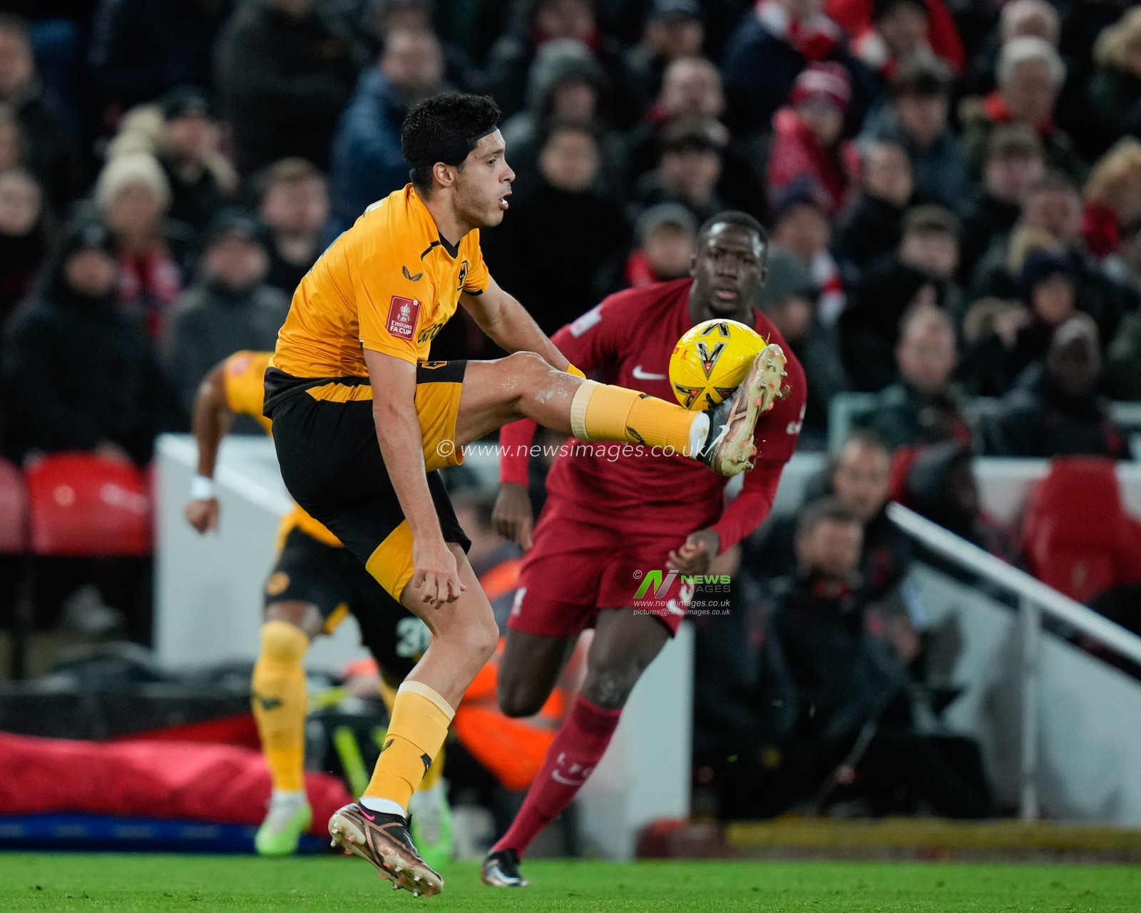 RaÃºl JimÃ©nez #9 of Wolverhampton Wanderers controls the ball during the Emirates FA Cup Third Round match Liverpool vs Wolverhampton Wanderers at Anfield, Liverpool, United Kingdom, 7th January 2023

(Photo by Steve Flynn/News Images)