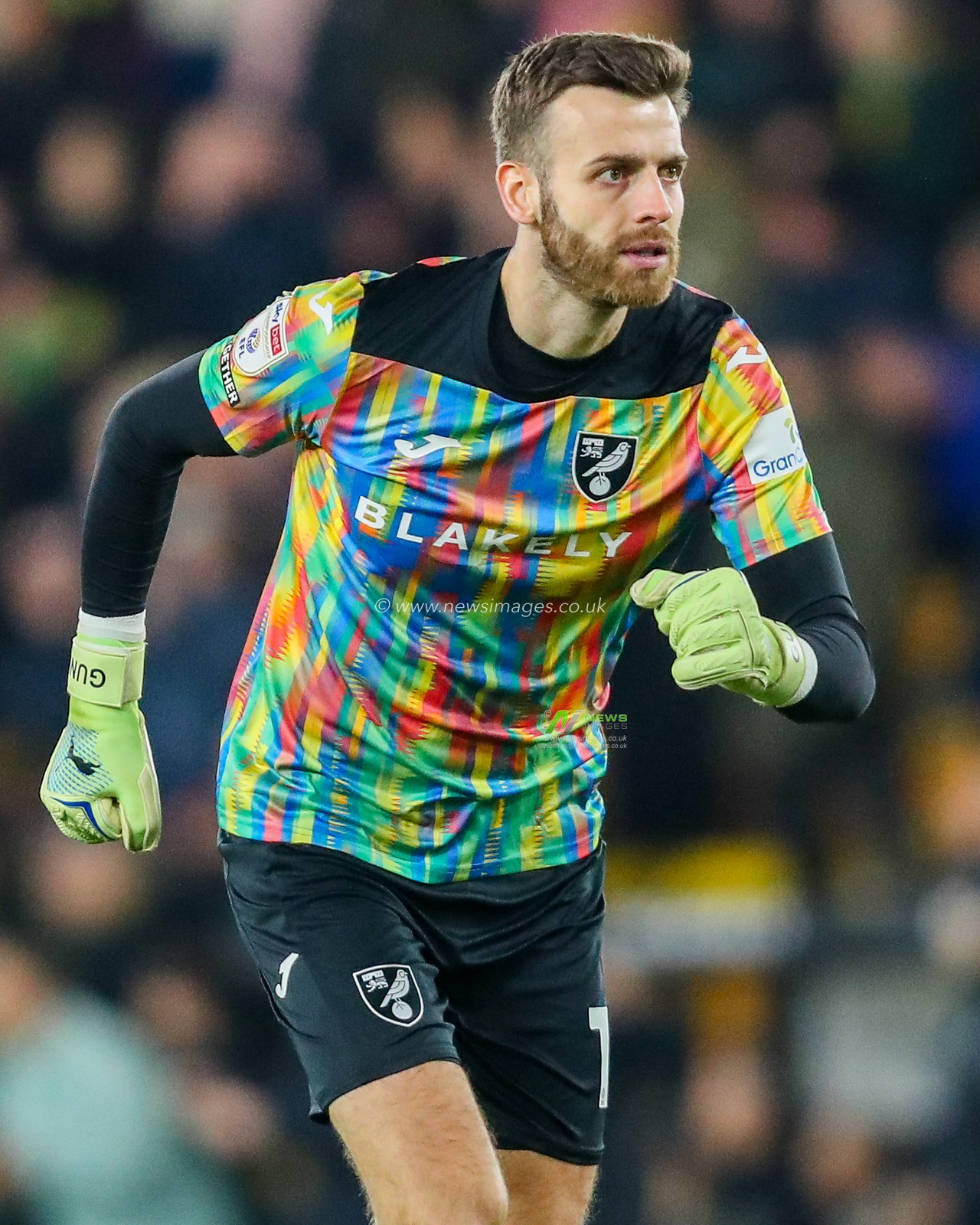 Angus Gunn of Norwich City in action during the Sky Bet Championship match Norwich City vs Plymouth Argyle at Carrow Road, Norwich, United Kingdom, 26th November 2024

(Photo by Izzy Poles/News Images)