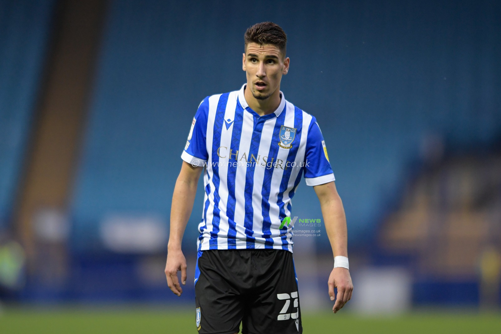 Theo Corbeanu #23 of Sheffield Wednesday in action during the game