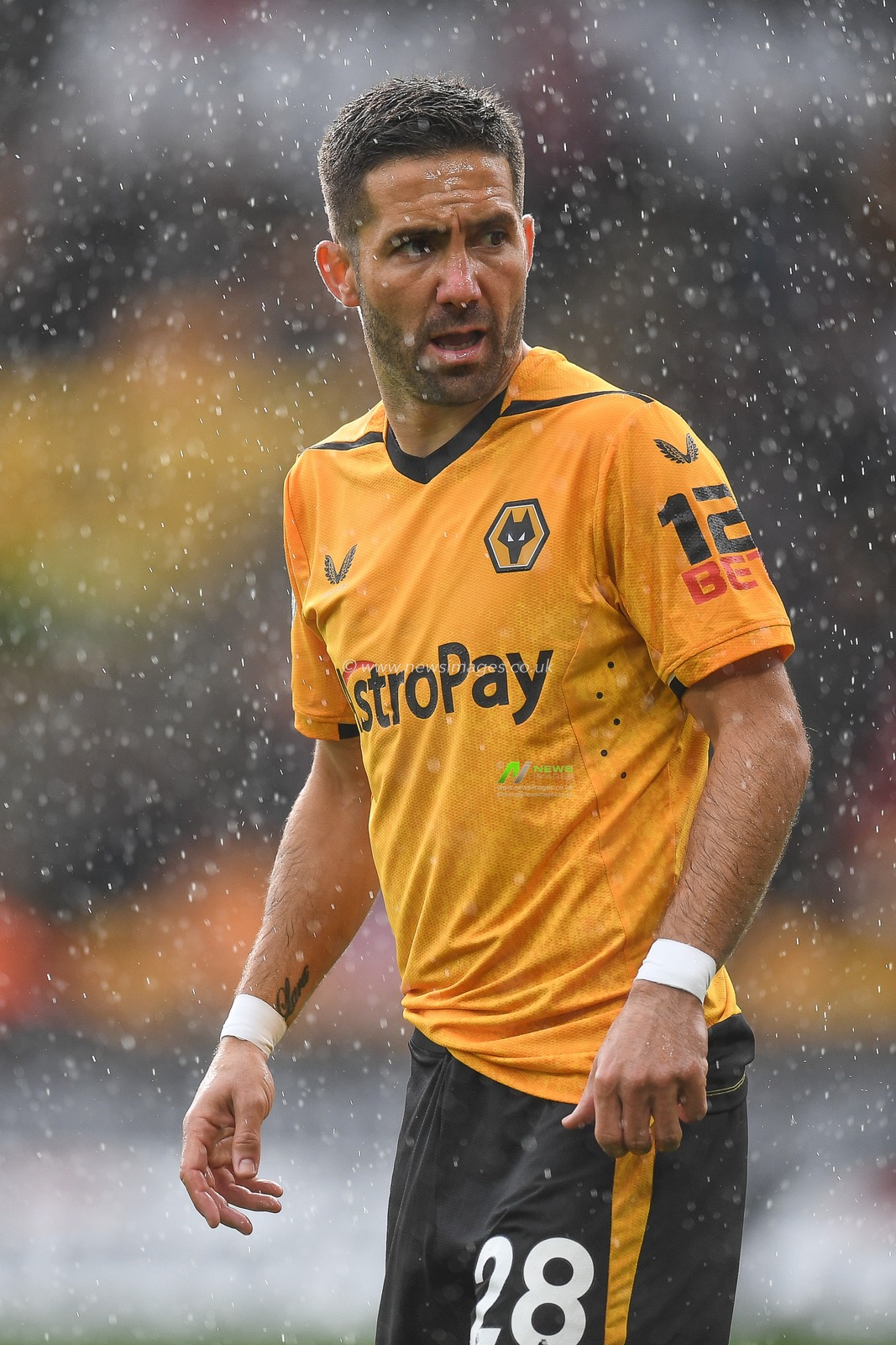 JoÃ£o Moutinho #28 of Wolverhampton Wanderers during the Premier League match Wolverhampton Wanderers vs Nottingham Forest at Molineux, Wolverhampton, United Kingdom, 15th October 2022

(Photo by Mike Jones/News Images)